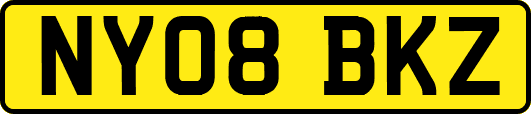 NY08BKZ