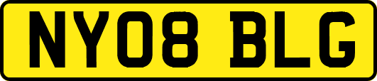 NY08BLG