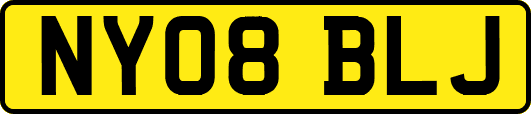 NY08BLJ