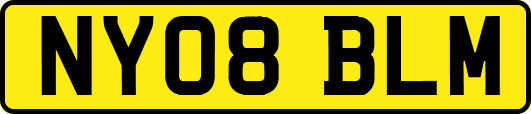 NY08BLM