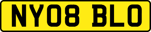 NY08BLO