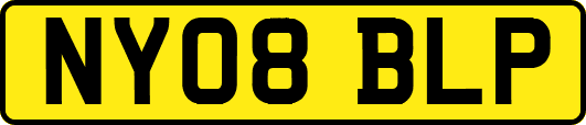 NY08BLP