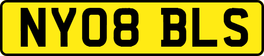 NY08BLS