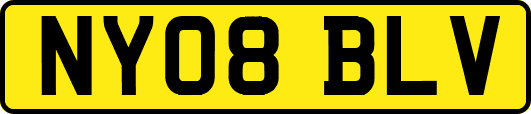 NY08BLV