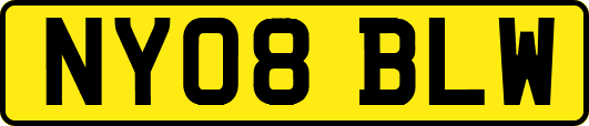 NY08BLW