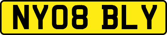 NY08BLY