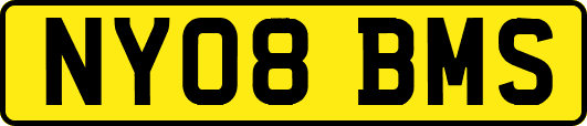NY08BMS
