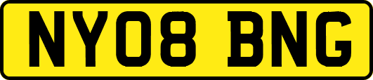 NY08BNG