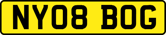 NY08BOG