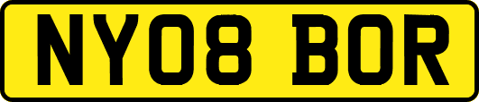 NY08BOR