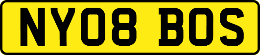 NY08BOS