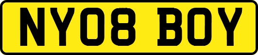 NY08BOY