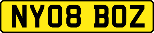 NY08BOZ