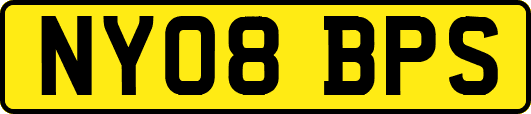 NY08BPS