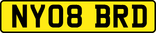 NY08BRD