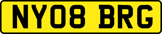 NY08BRG