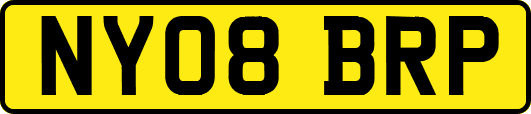 NY08BRP