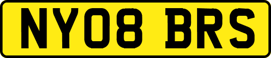 NY08BRS