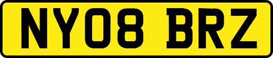 NY08BRZ