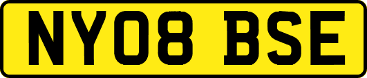 NY08BSE