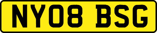 NY08BSG