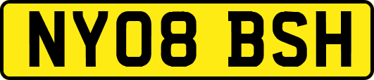 NY08BSH