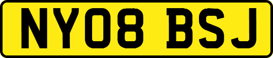 NY08BSJ