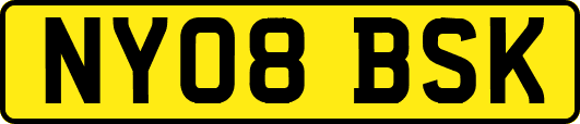 NY08BSK