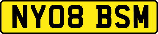 NY08BSM