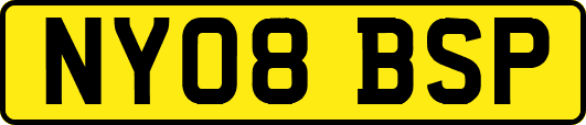 NY08BSP