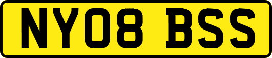 NY08BSS