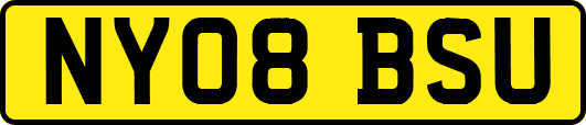 NY08BSU