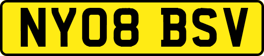 NY08BSV