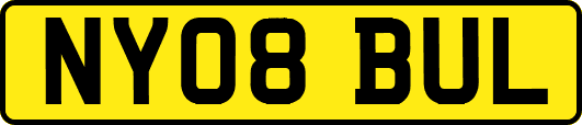 NY08BUL