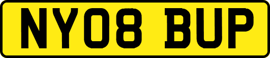 NY08BUP