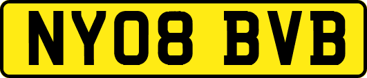NY08BVB
