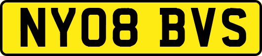NY08BVS