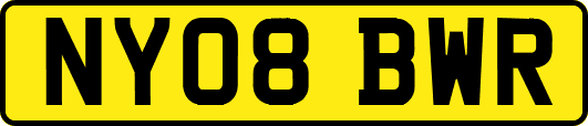NY08BWR