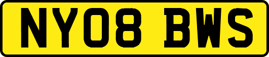 NY08BWS