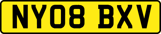 NY08BXV