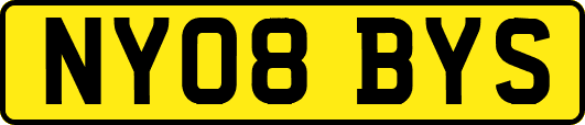 NY08BYS