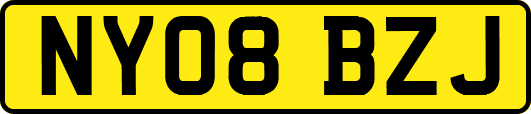 NY08BZJ