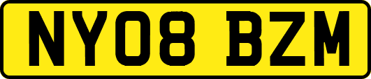 NY08BZM