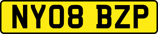 NY08BZP