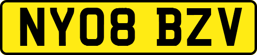NY08BZV