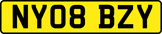 NY08BZY
