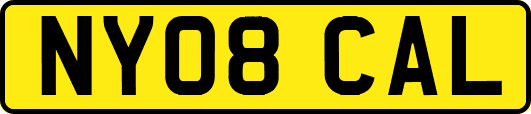 NY08CAL