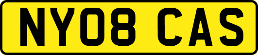 NY08CAS