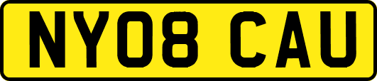 NY08CAU