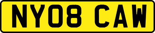 NY08CAW